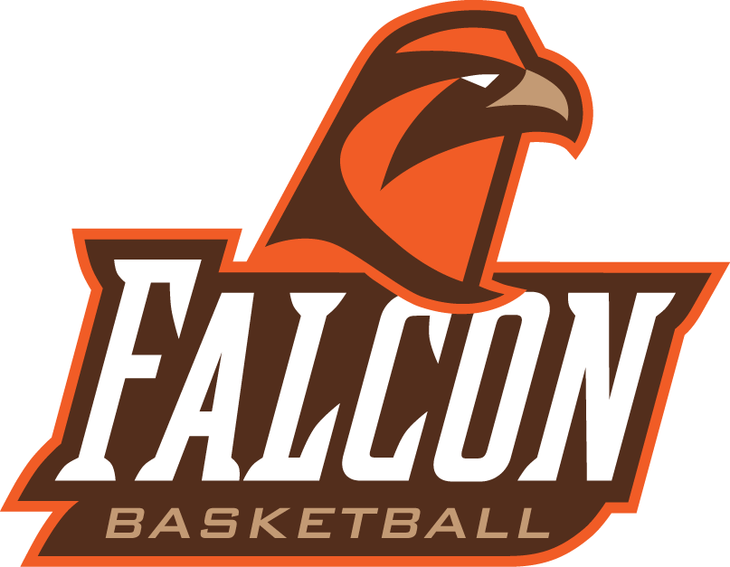 Bowling Green Falcons 2006-Pres Alternate Logo v2 iron on transfers for clothing